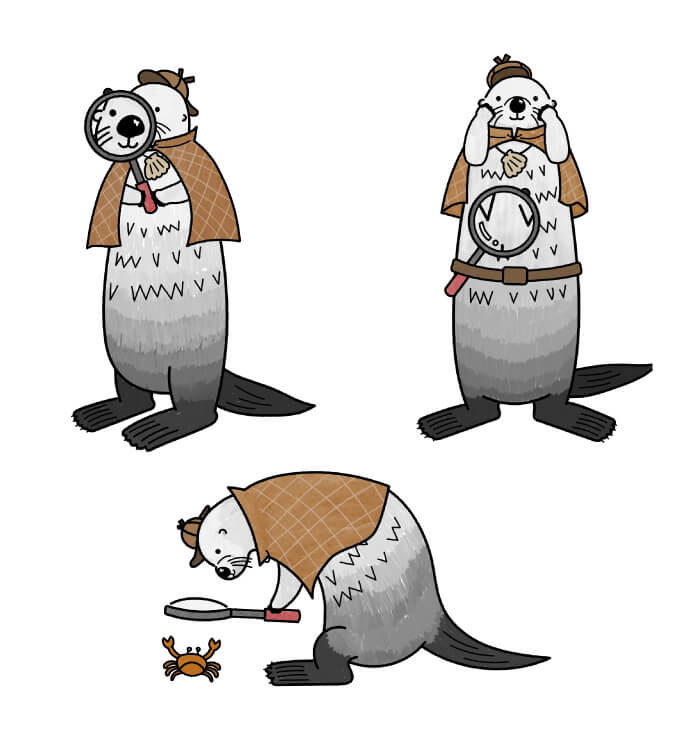 ラッコのメイちゃん